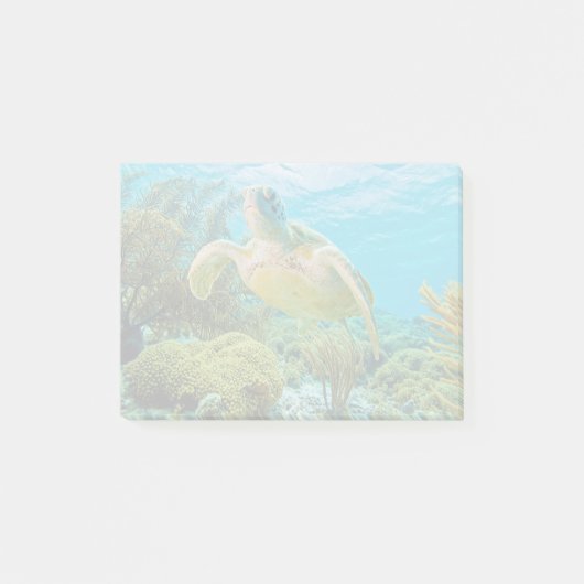 Eine grüne Schildkröte auf den Shallow-Riffen von Post-it Klebezettel (Vorderseite)