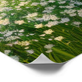 Eine grüne Wiese blüht in Weiß Poster (Ecke)