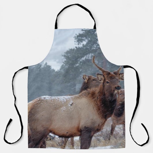 EINE GRUPPE HIRSCH SCHÜRZE (Vorderseite)