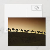 Eine Gruppe Kamelzüchter mit Kamelen auf Postkarte (Vorne/Hinten)