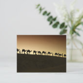 Eine Gruppe Kamelzüchter mit Kamelen auf Postkarte (Stehend Vorderseite)