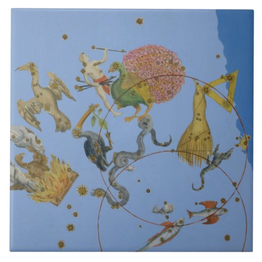 Eine Gruppe Konstellationen von "Uranometria" Fliese (Vorderseite)