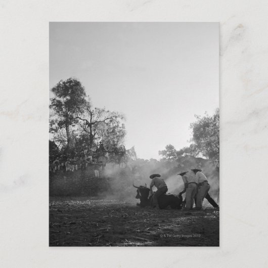 Eine Gruppe mexikanischer Stierkämpfer-Drehung Postkarte (Vorderseite)