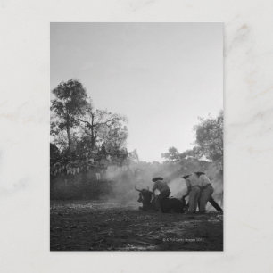 Eine Gruppe mexikanischer Stierkämpfer-Drehung Postkarte