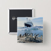 Eine Gruppe Penguins stehend auf einem eisigen Button (Vorne & Hinten)
