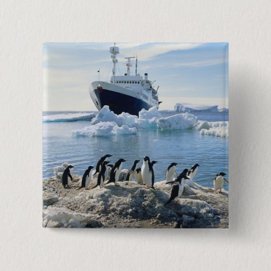 Eine Gruppe Penguins stehend auf einem eisigen Button (Vorderseite)