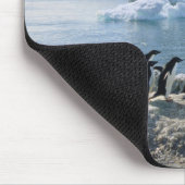 Eine Gruppe Penguins stehend auf einem eisigen Mousepad (Ecke)