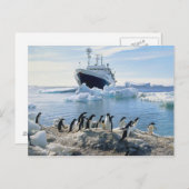 Eine Gruppe Penguins stehend auf einem eisigen Postkarte (Vorne/Hinten)
