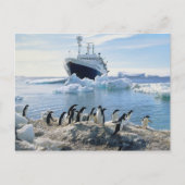 Eine Gruppe Penguins stehend auf einem eisigen Postkarte (Vorderseite)