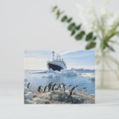 Eine Gruppe Penguins stehend auf einem eisigen Postkarte (Stehend Vorderseite)
