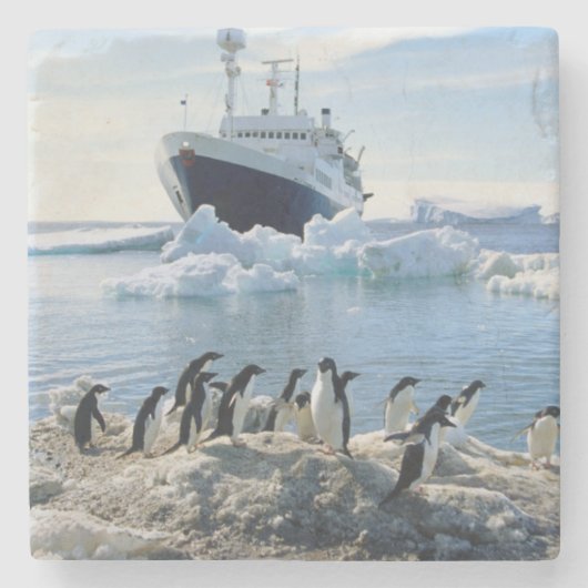 Eine Gruppe Penguins stehend auf einem eisigen Steinuntersetzer (Vorderseite)