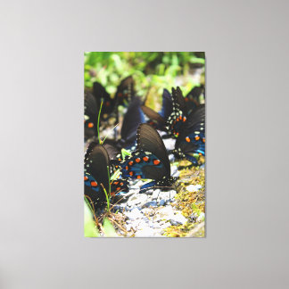 Eine Gruppe von Fracks Canvas Print Leinwanddruck