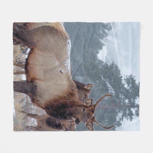 EINE GRUPPE VON HÄNDLERN FLEECEDECKE (Vorderseite (Horizontal))