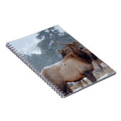 EINE GRUPPE VON HÄNDLERN NOTIZBLOCK (Rechte Seite)