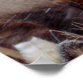 EINE GRUPPE VON HÄNDLERN POSTER (Ecke)