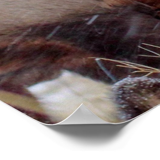 EINE GRUPPE VON HÄNDLERN POSTER (Ecke)