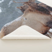 EINE GRUPPE VON HÄNDLERN SHERPADECKE (3/4)