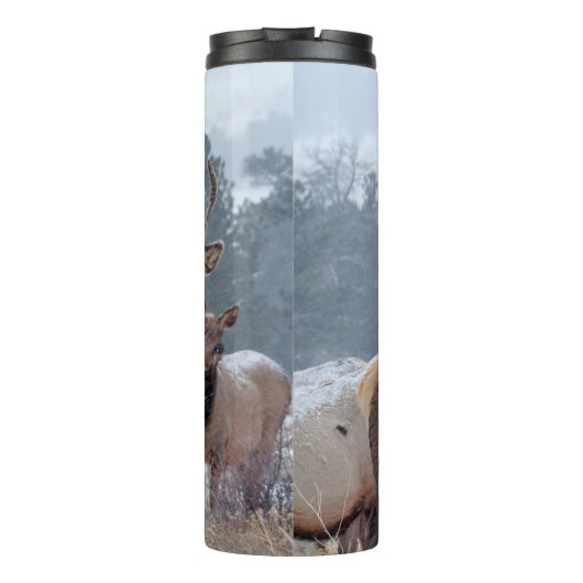 EINE GRUPPE VON HÄNDLERN THERMOSBECHER (Rückseite)