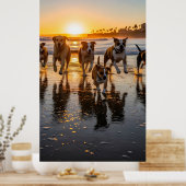 Eine Gruppe von Hunden jagen und spritzen Poster (Küche)