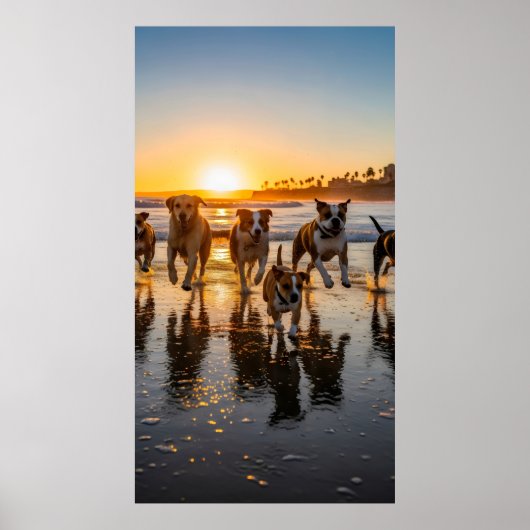 Eine Gruppe von Hunden jagen und spritzen Poster (Vorne)