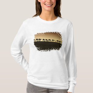 Eine Gruppe von Kamelhirten mit ihren Kamelen T-Shirt