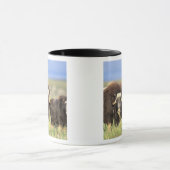 Eine Gruppe von Moschusen stöbern auf Weidensträuc Tasse (Zentrum)