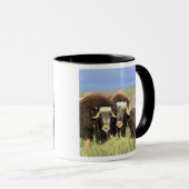 Eine Gruppe von Moschusen stöbern auf Weidensträuc Tasse (VorderseiteRechts)