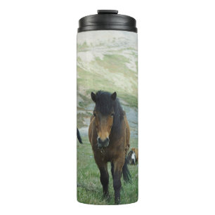 EINE GRUPPE VON PFERDEN AUF EINER BERGSTUFE THERMOSBECHER