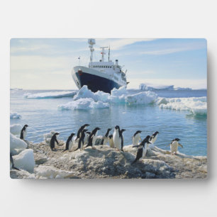 Eine Gruppe von Pinguinen, die an einem Icy Beach  Fotoplatte