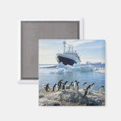 Eine Gruppe von Pinguinen, die an einem Icy Beach Magnet (Vorderseite/Rückseite)
