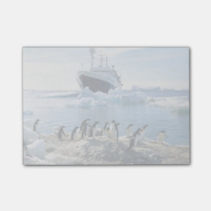 Eine Gruppe von Pinguinen, die an einem Icy Beach  Post-it Klebezettel
