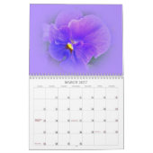 Eine Gruppe von Stiefmütterchen Kalender (Mär 2027)