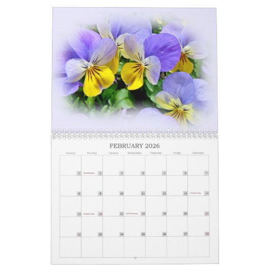 Eine Gruppe von Stiefmütterchen Kalender (Feb 2026)