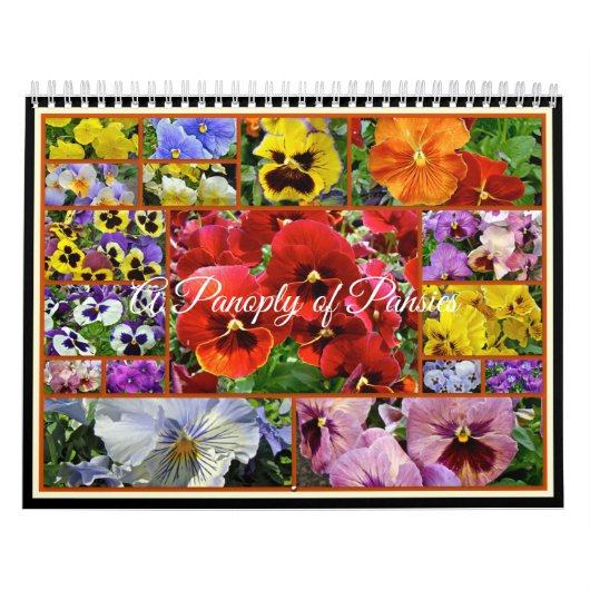 Eine Gruppe von Stiefmütterchen Kalender (Titelbild)