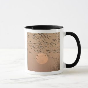 Eine Gruppe von wandernden Schneegänsen, Grus Tasse