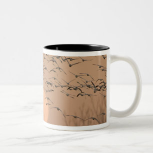 Eine Gruppe von wandernden Schneegänsen, Grus Zweifarbige Tasse