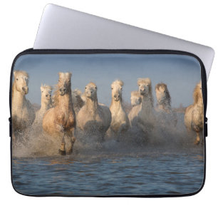 Eine Gruppe weiße Pferde in der Camargue Region Laptopschutzhülle