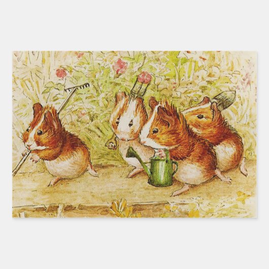 Eine Guinea Schweinegarten von Beatrix Potter Geschenkpapier Set (Vorderseite 2)