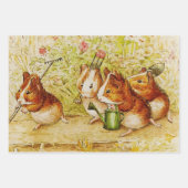 Eine Guinea Schweinegarten von Beatrix Potter Geschenkpapier Set (Vorderseite)