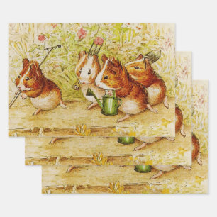 Eine Guinea Schweinegarten von Beatrix Potter Geschenkpapier Set