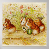 Eine Guinea Schweinegarten von Beatrix Potter Poster (Vorne)