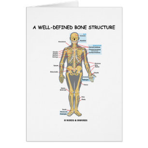 Eine gut definierte Knochen-Struktur (menschliches