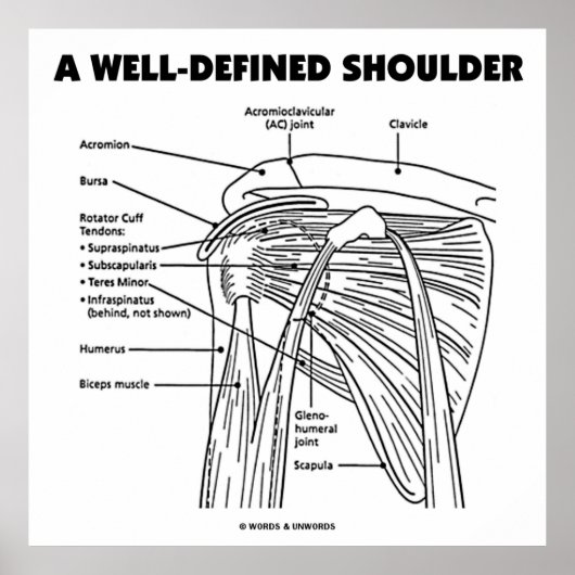 Eine gut definierte Schulter (anatomischer Spaß) Poster (Vorne)