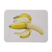 Eine halb geschälte Banane 1997 Magnet (Horizontal)