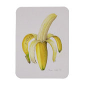 Eine halb geschälte Banane 1997 Magnet (Vertikal)