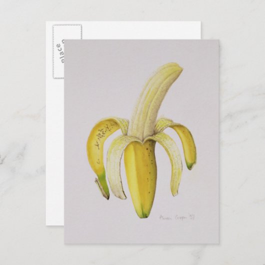 Eine halb geschälte Banane 1997 Postkarte (Vorne/Hinten)