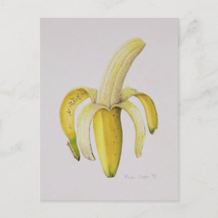 Eine halb geschälte Banane 1997 Postkarte