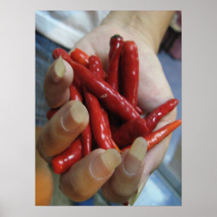 Eine Handvoll Chili ... Thai Street Food Poster