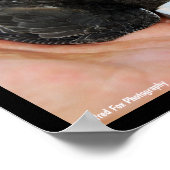 Eine helfende Hand Poster (Ecke)