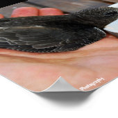 Eine helfende Hand Poster (Ecke)